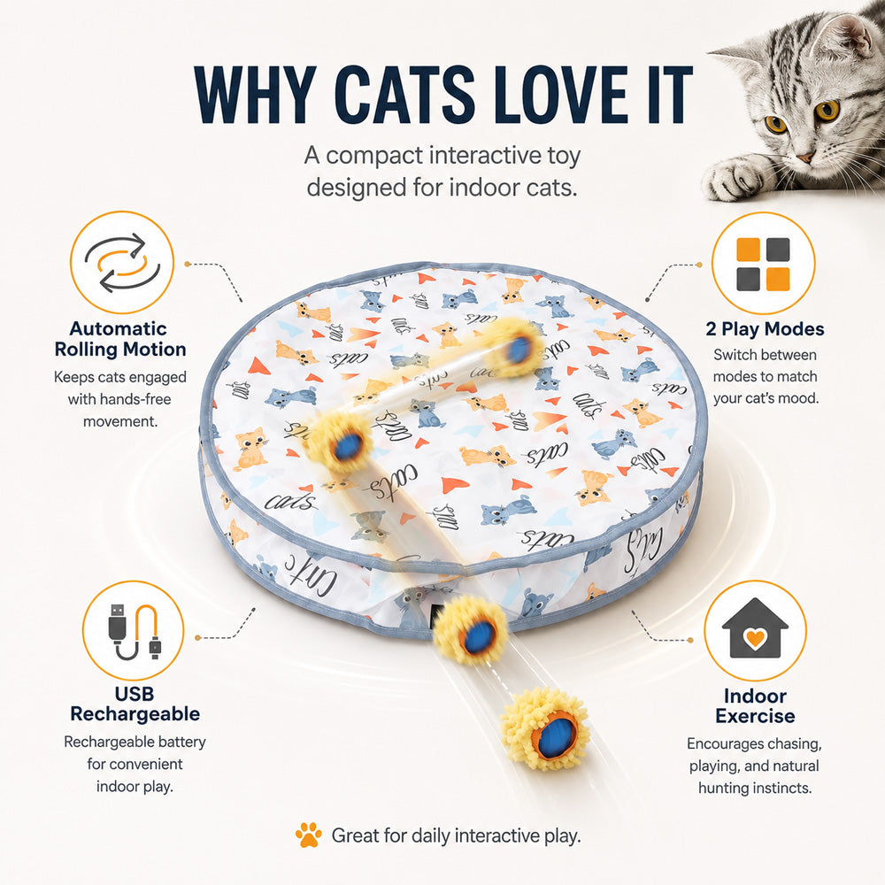 Rechargeable Cat Toy Ball for interactive cat play