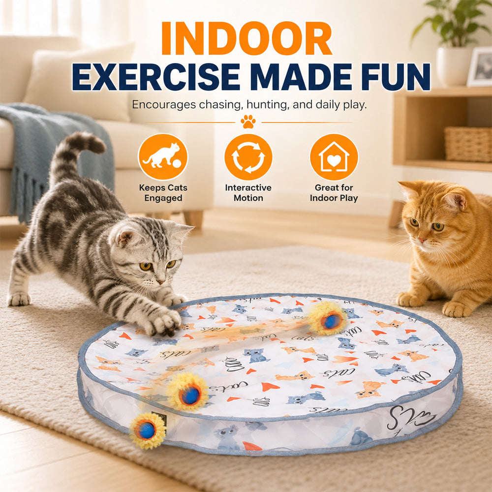 Rechargeable Cat Toy Ball for interactive cat play
