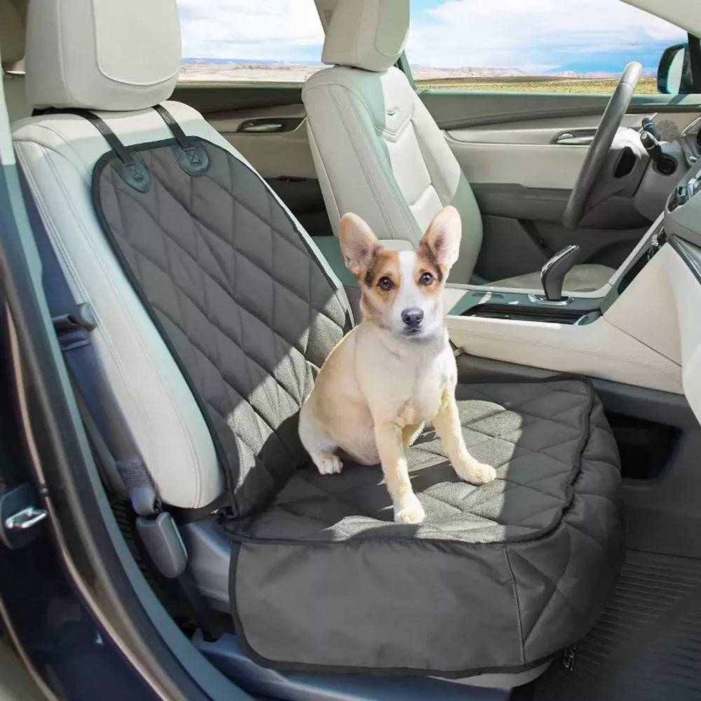 Car Travel