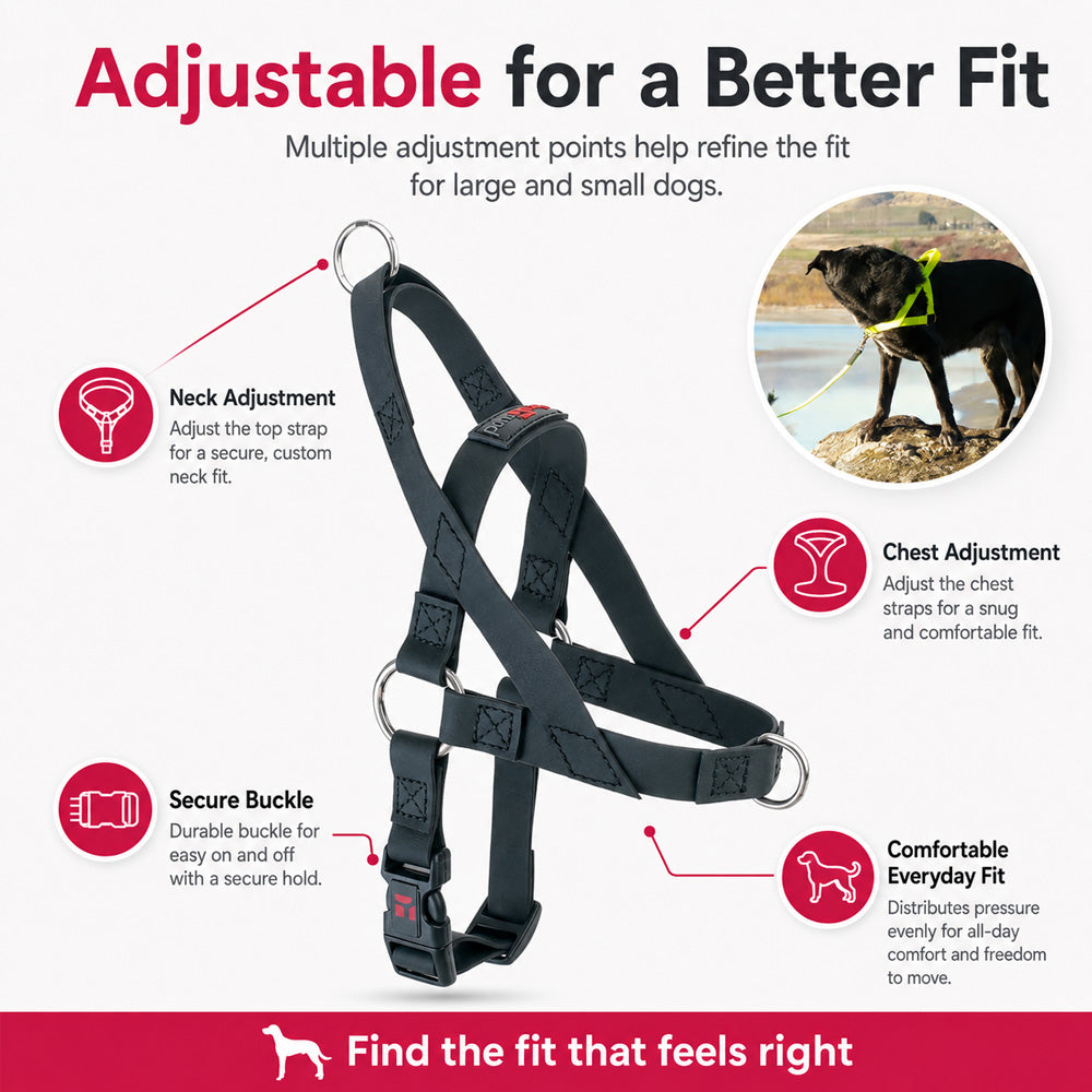Freedom No Pull Dog Harness for small and large dogs