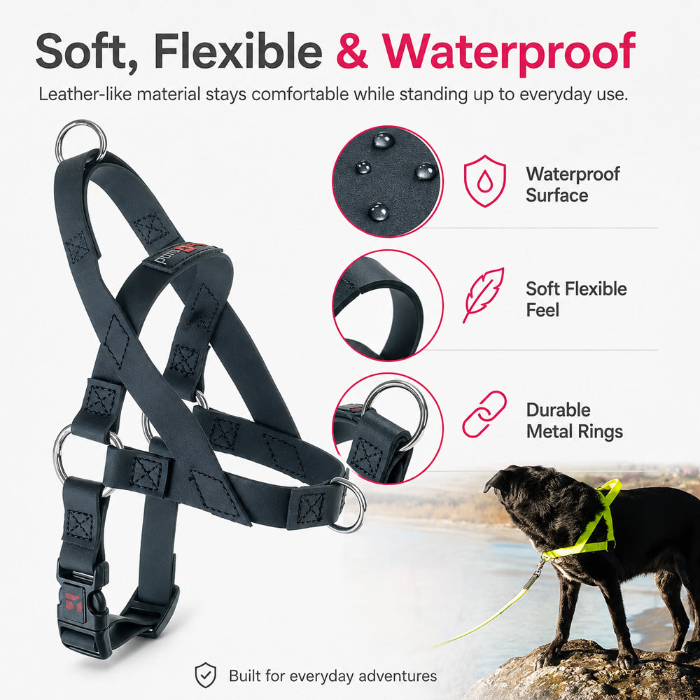 Freedom No Pull Dog Harness for small and large dogs