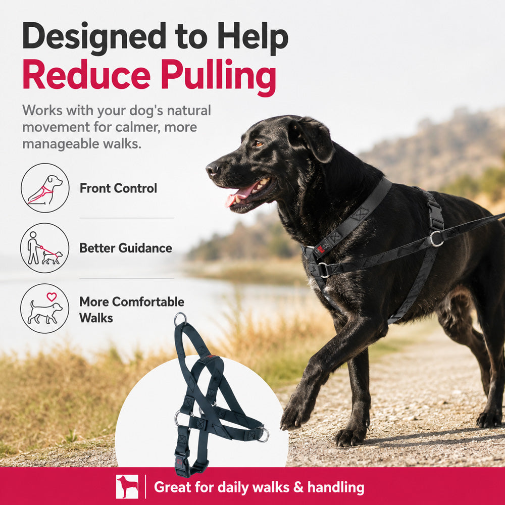 Freedom No Pull Dog Harness for small and large dogs