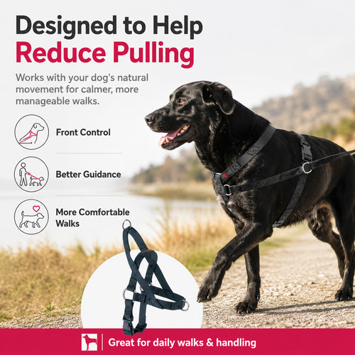 Freedom No Pull Dog Harness for small and large dogs