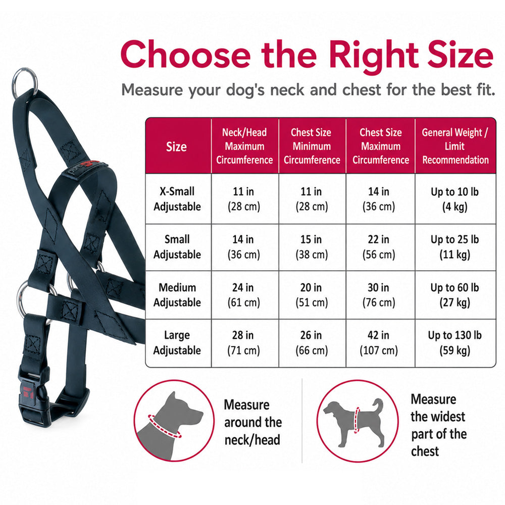 Freedom No Pull Dog Harness for small and large dogs