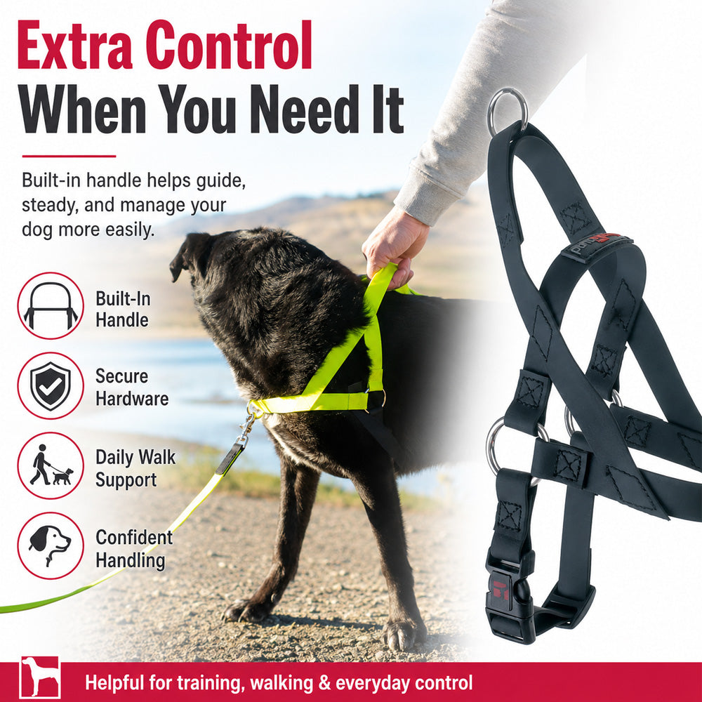 Freedom No Pull Dog Harness for small and large dogs
