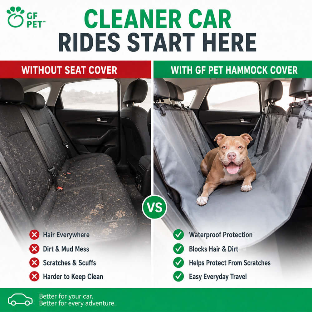 Waterproof Dog Hammock Seat Cover protecting car back seat