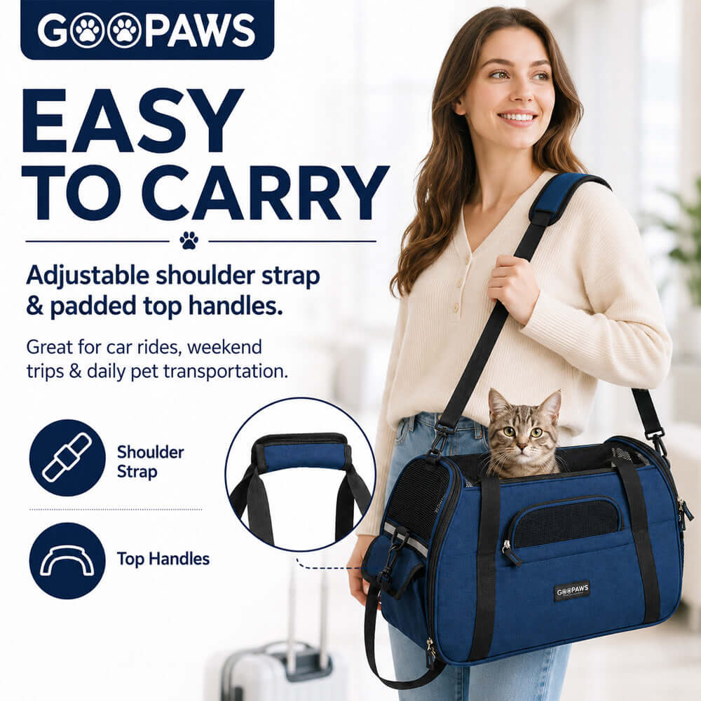 Dog Walk & Travel Essentials – Convenient Gear for Dogs on the Go