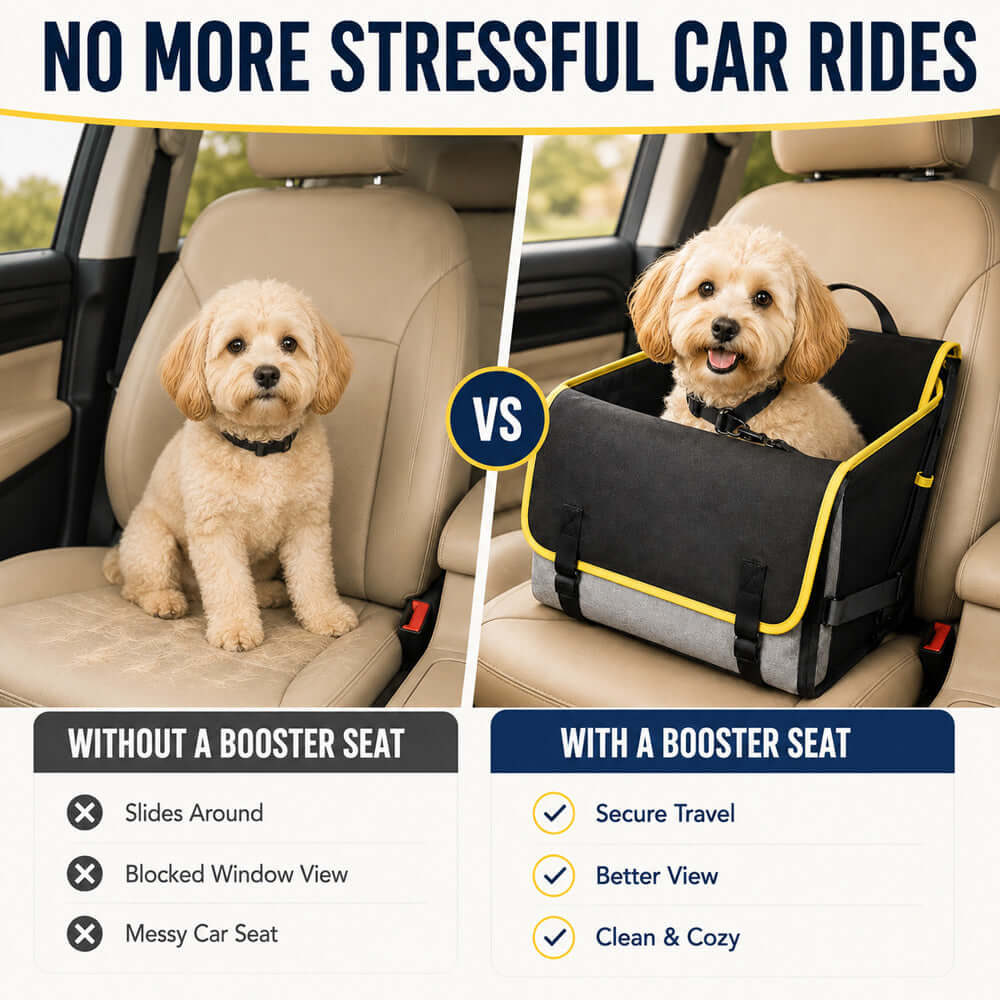 Dog Booster Car Seat for Small Dogs | Travel Safety Seat | Morvillo