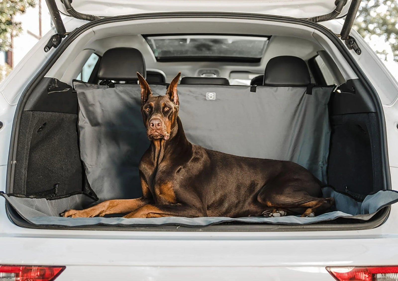Waterproof Cargo Cover for Dogs | Pet SUV Cargo Liner | Morvillo