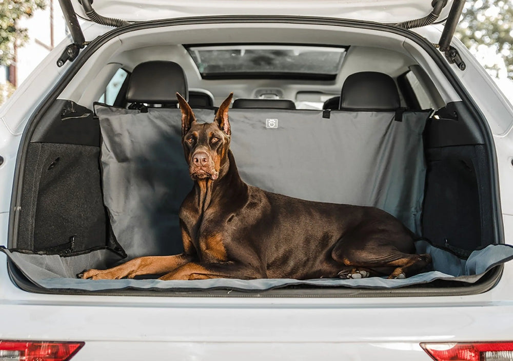 Waterproof Cargo Cover for Dogs | Pet SUV Cargo Liner | Morvillo