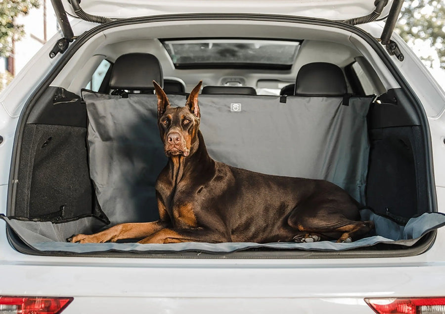 Waterproof Cargo Cover for Dogs | Pet SUV Cargo Liner | Morvillo