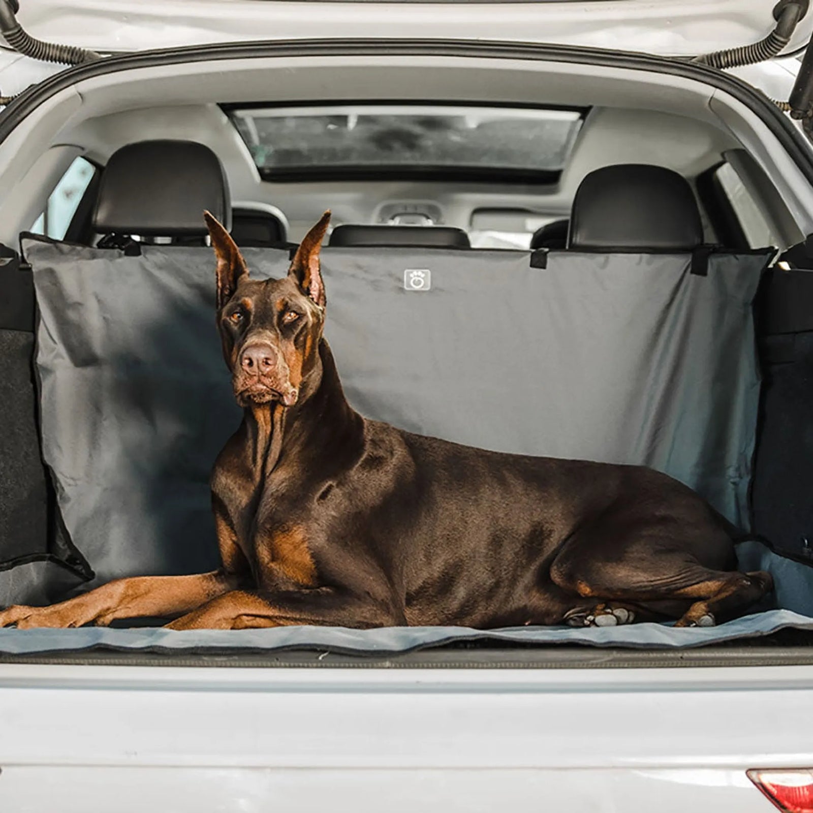 Waterproof Cargo Cover for Dogs | Pet SUV Cargo Liner | Morvillo