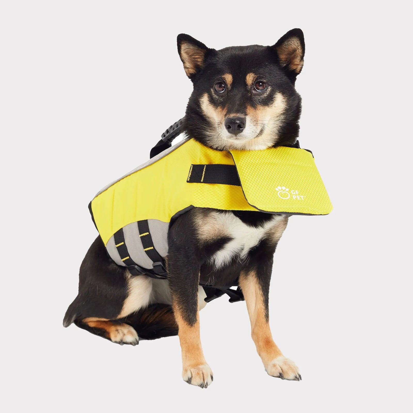 GF Pet Dog Life Vest