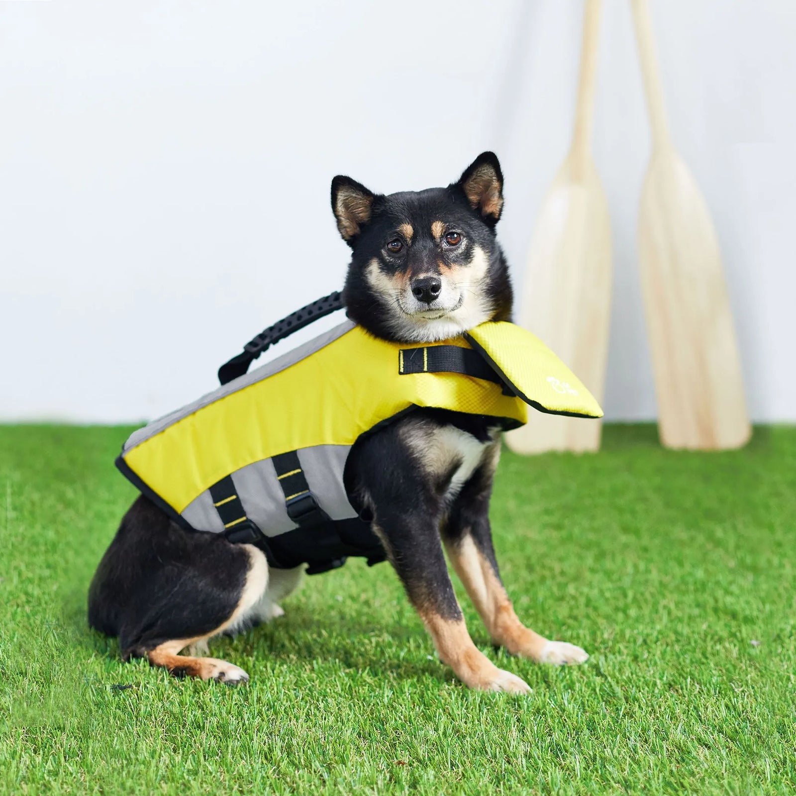 GF Pet Dog Life Vest