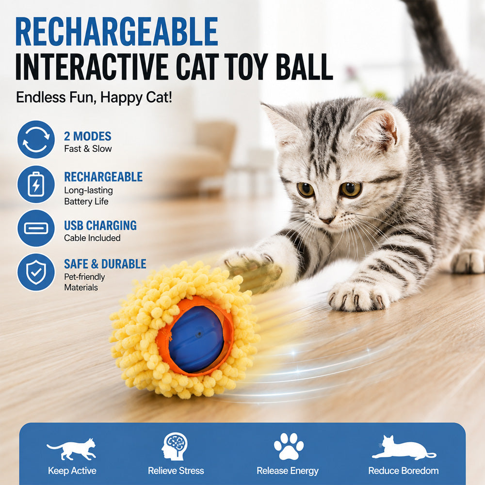 Play & Enrichment – Fun Toys & Activities for Happy Pets