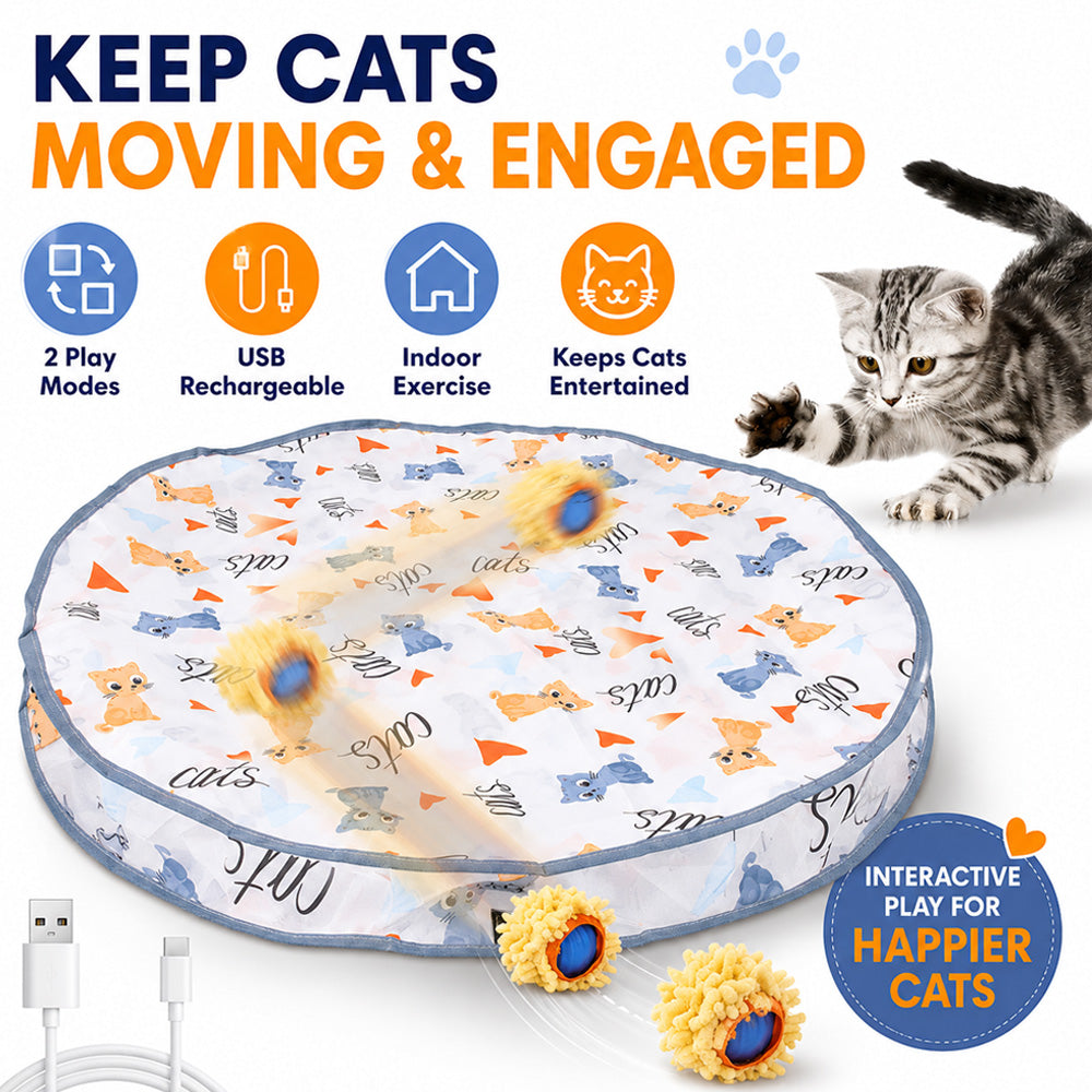 Rechargeable Cat Toy Ball for interactive cat play