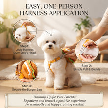 🍔 Cute Burger & Fries Pet Harness Backpack with Leash